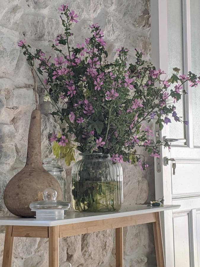 Best View! Rooftop With Garden - Old Town Nr404 Κότορ Εξωτερικό φωτογραφία