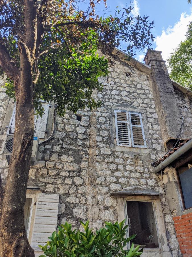 Best View! Rooftop With Garden - Old Town Nr404 Κότορ Εξωτερικό φωτογραφία